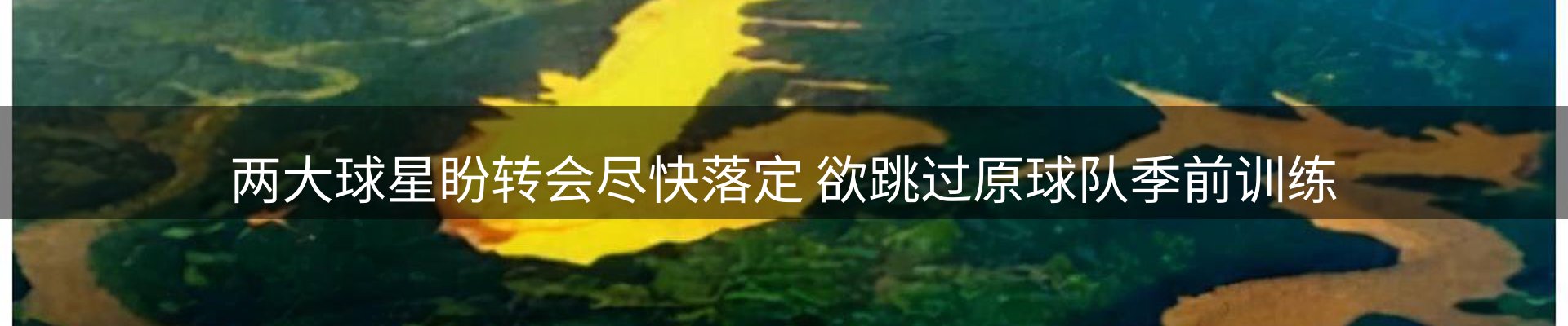 平台精选