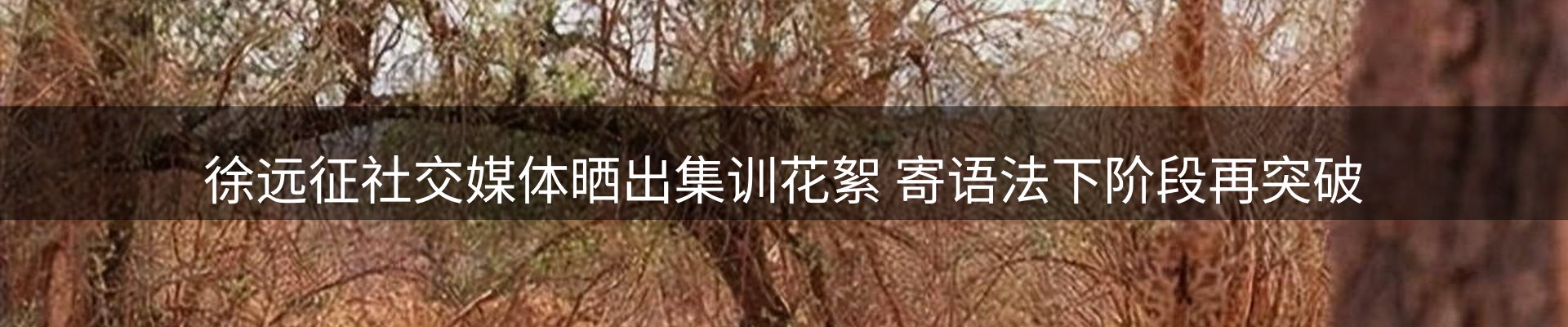 平台精选