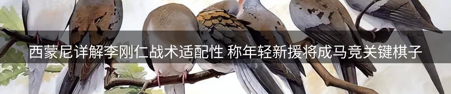 平台精选