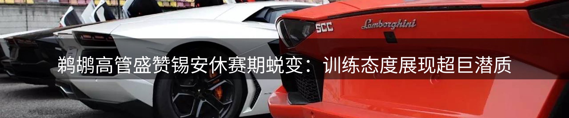 平台精选